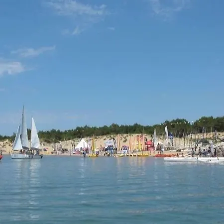 1 * La Palmyre